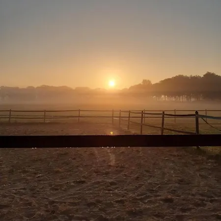De Handwijzer Hengelo (Gelderland)