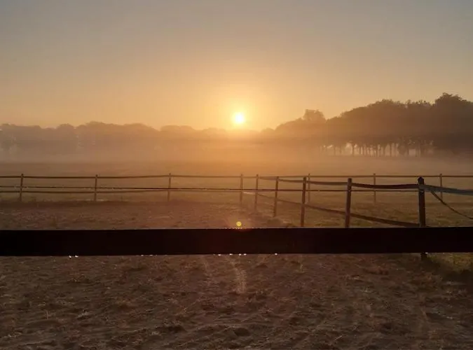 De Handwijzer Hengelo (Gelderland)